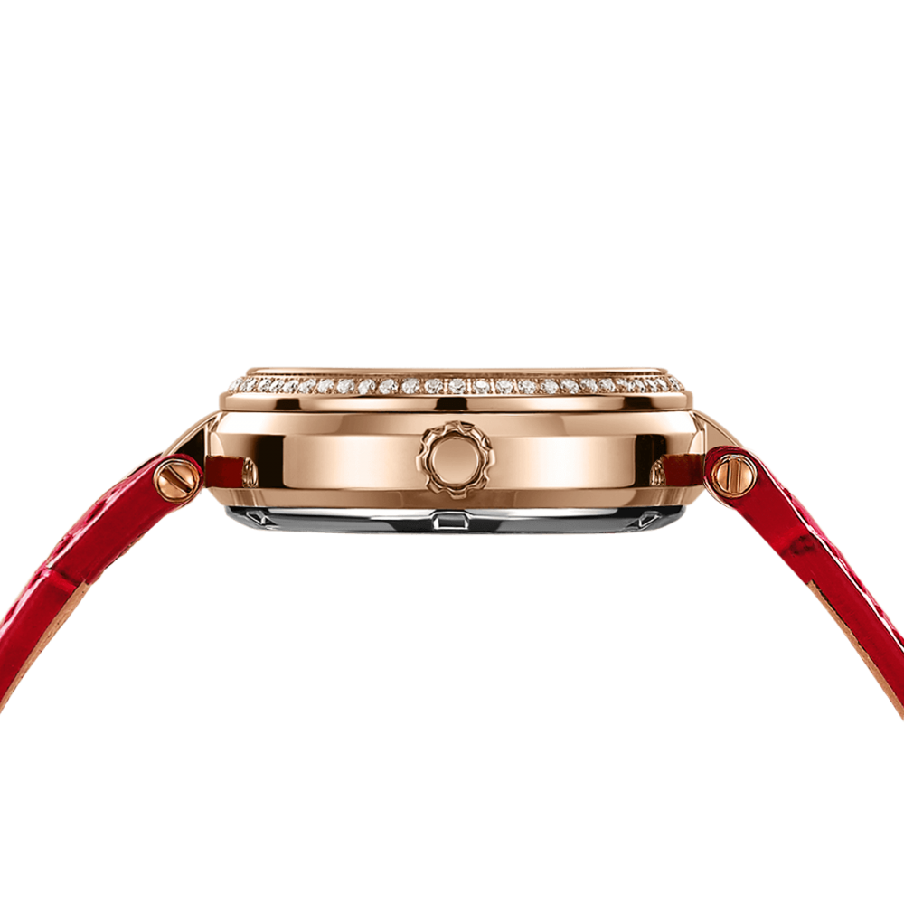 Beijing Day and Night Display Automatic Watch 32.5mm