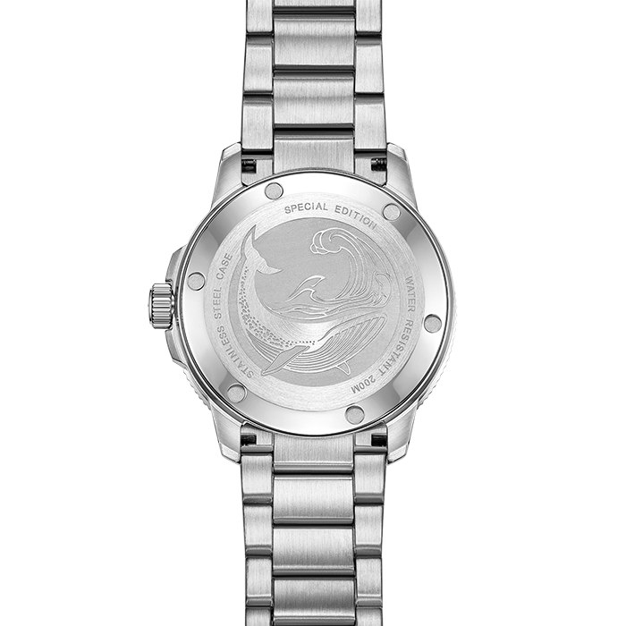 Beijing Whale Diver 200M Watch 43mm