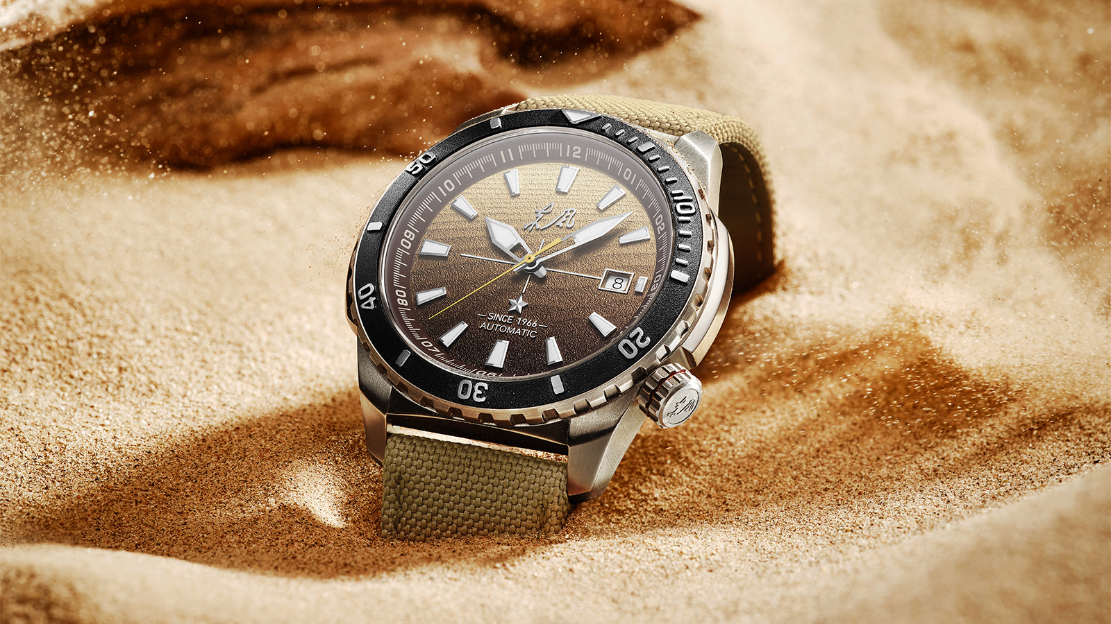 Why This $500 Chinese Military Watch Just Put My Swiss Collection on Notice | Seagull Desert Warrior Watch Hands-On Review